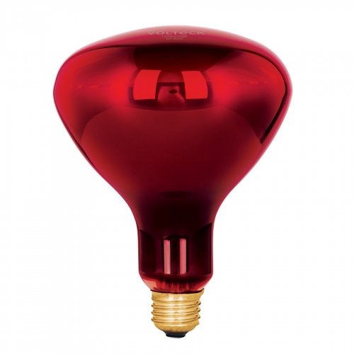 Lámpara incandescente de calor, BR40 270 Watts, rojo