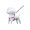 Correa con pechera para perro, 1 cm ancho, FIERO