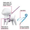 Correa con pechera para perro, 1 cm ancho, FIERO