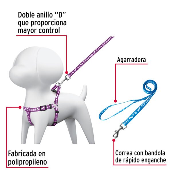 Correa con pechera para perro, 1 cm ancho, FIERO