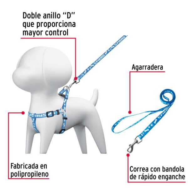 Correa con pechera para perro, 1.5 cm ancho, FIERO