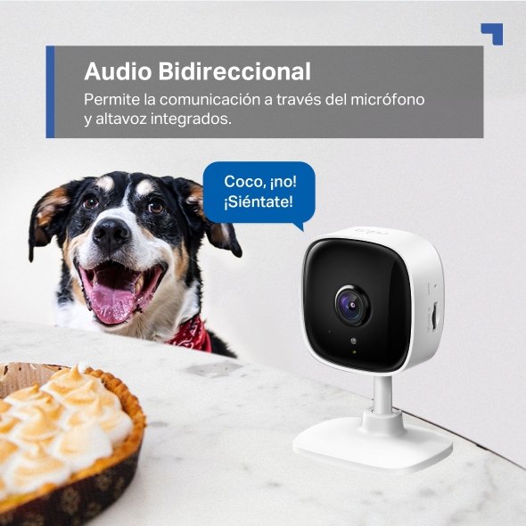 TapoC100-CamaradeVigilanciaInteligente_1080p_DeteccionIA06_normal_20251120194814w Cámara Wi-Fi de Seguridad TAPO
